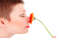 Как тренировка носа помогает лучше разбираться в запахах